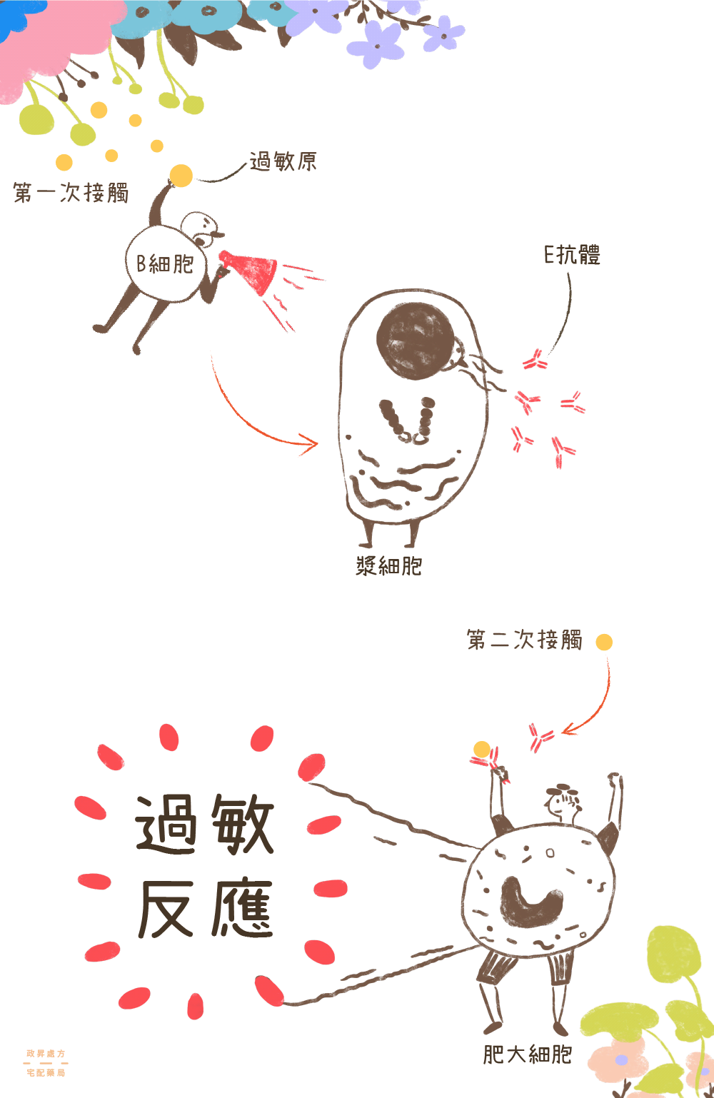 過敏原誘發體內防禦機制