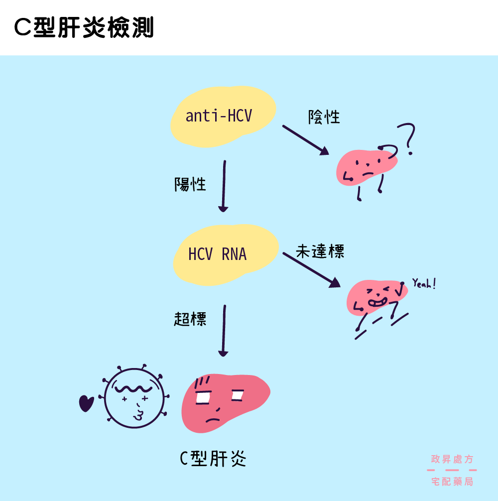 判別C型肝炎檢測結果的流程