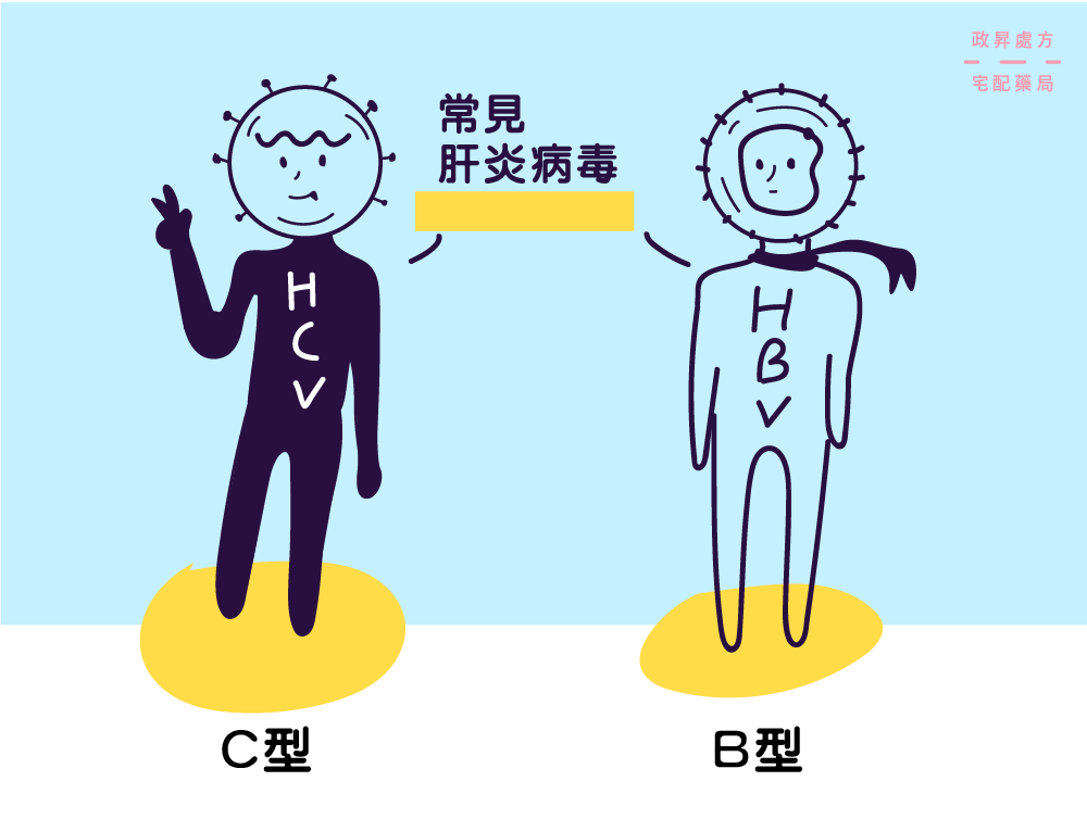 B肝病毒與C肝病毒的擬人角色