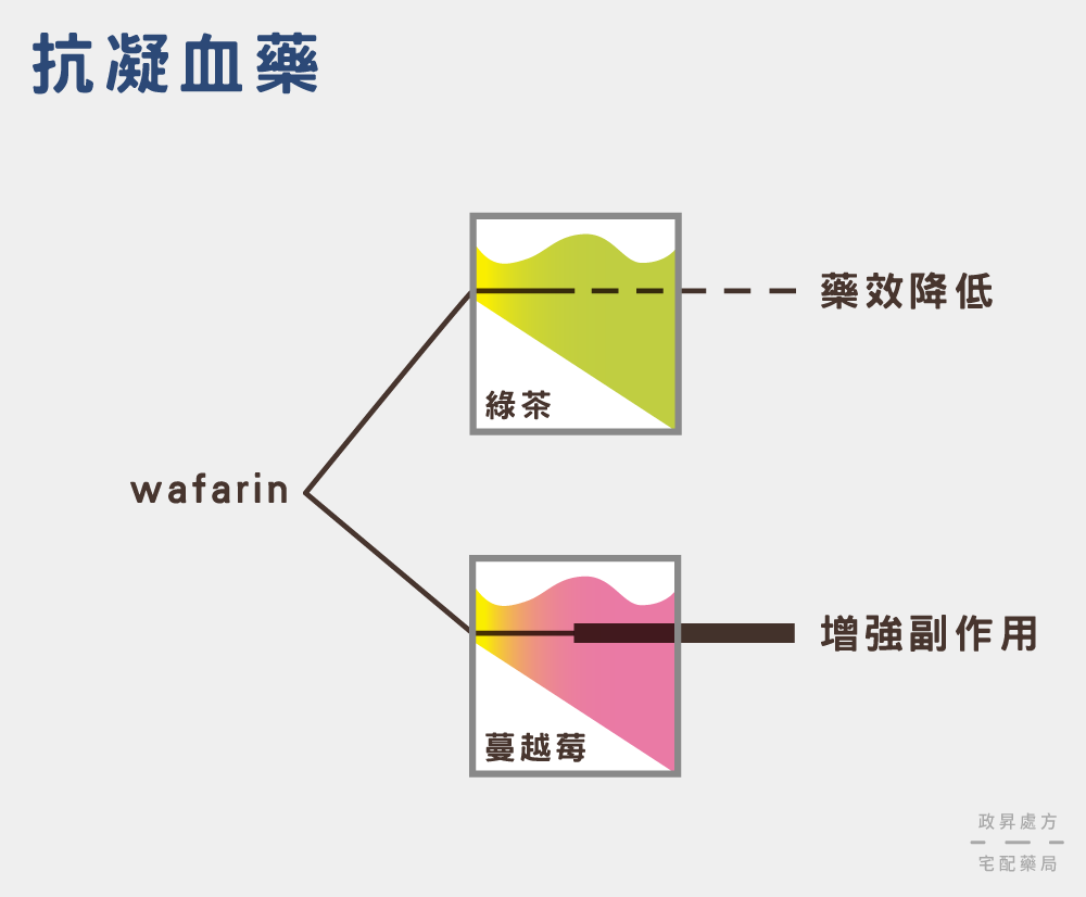 抗凝血藥與綠茶、蔓越莓的交互作用