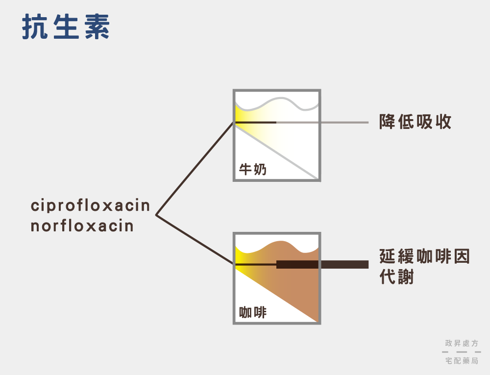 抗生素與牛奶、咖啡的交互作用