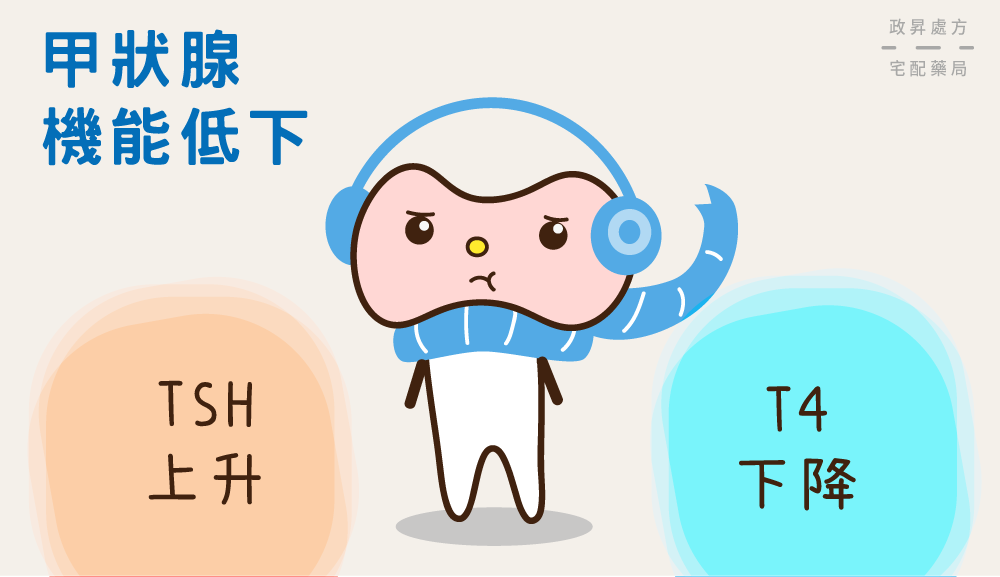 TSH上升與T4下降是甲狀腺機能低下訊號