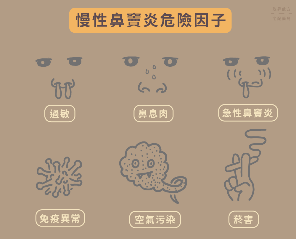 六種慢性鼻竇炎危險因子示意