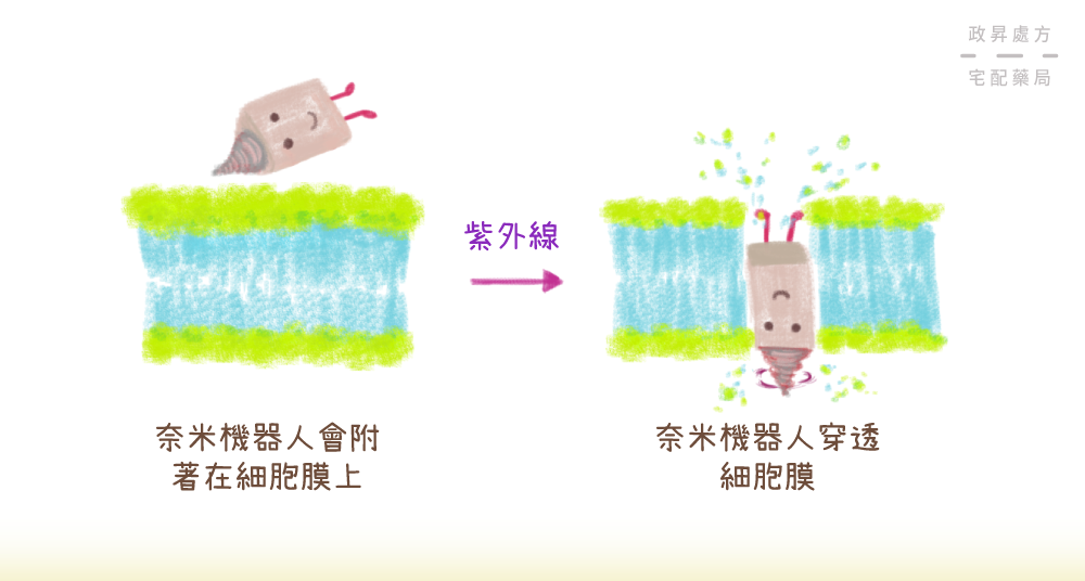 奈米機器人穿透細胞膜的過程