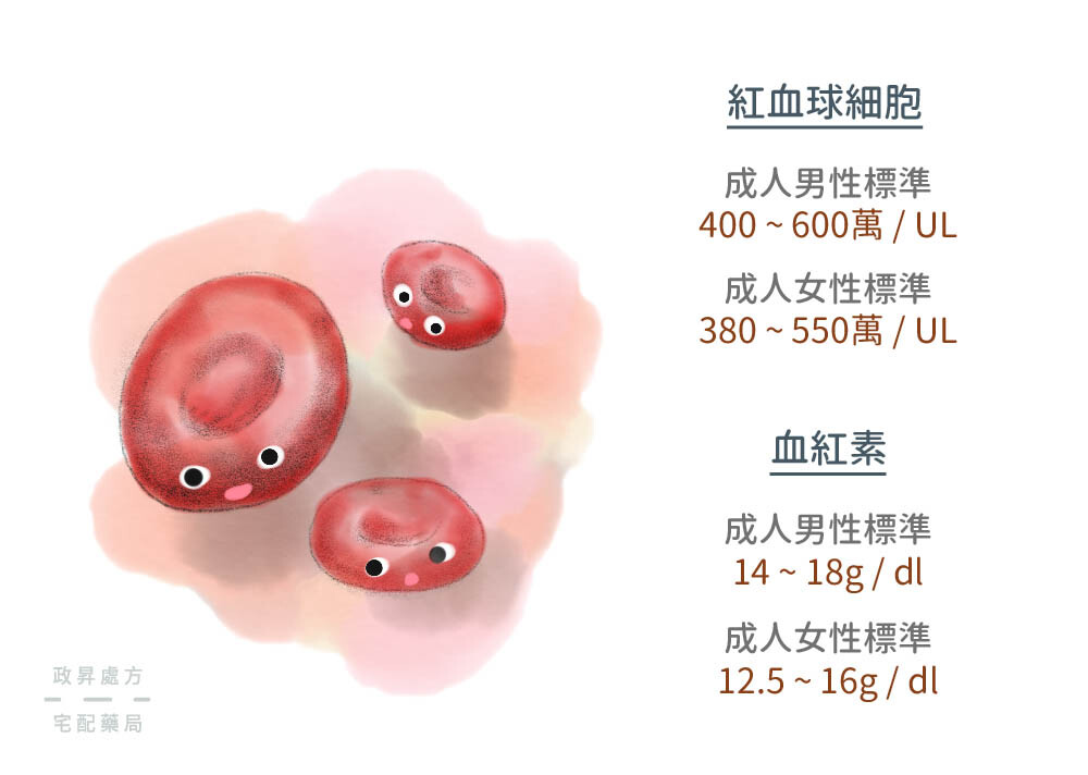 兩種檢測貧血的血液標準