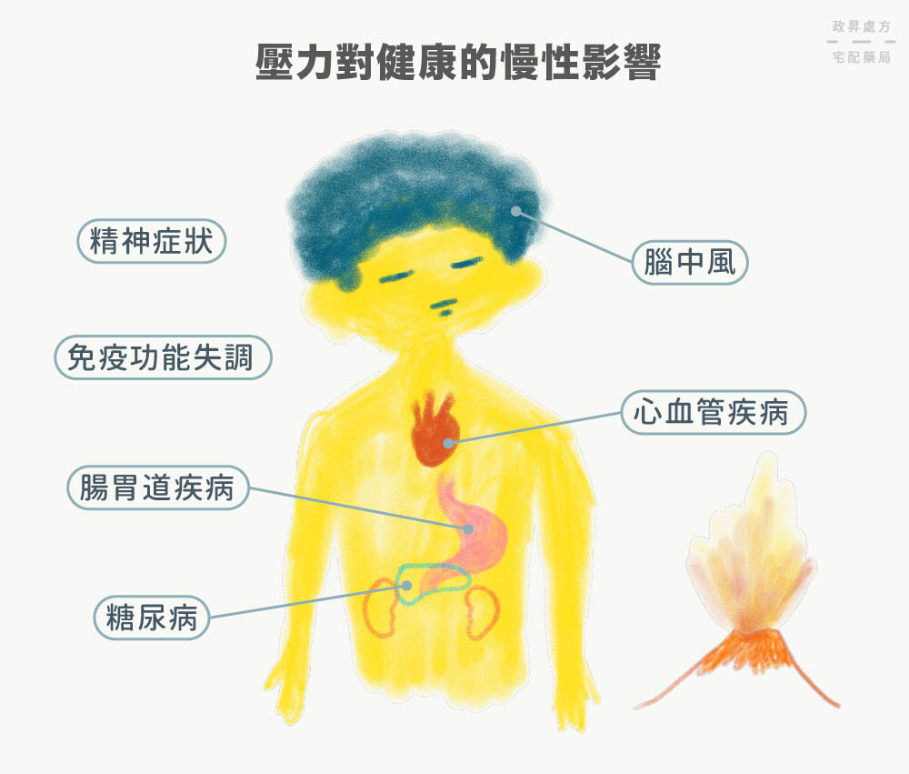 6 種壓力造成的慢性影響