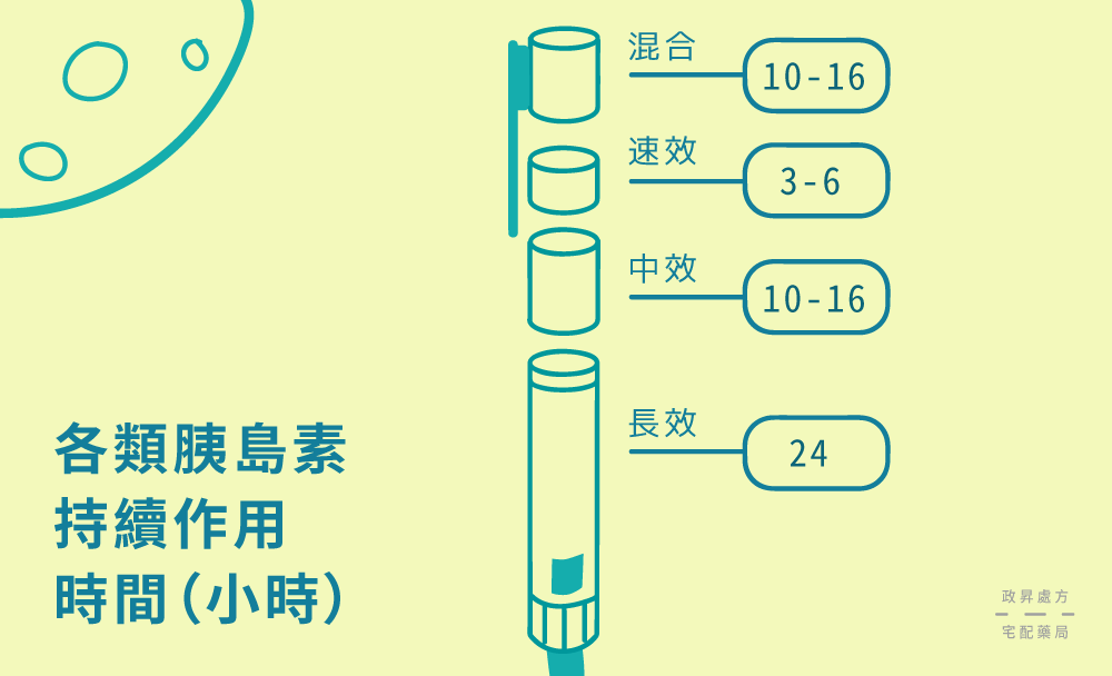 4 種胰島素的作用時間