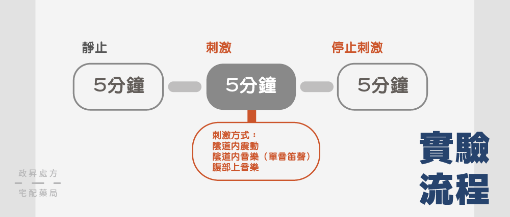 陰道播放器 3 階段實驗流程