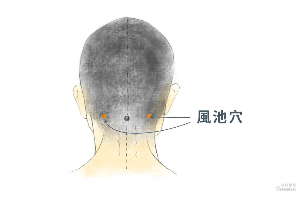 風池穴位置說明