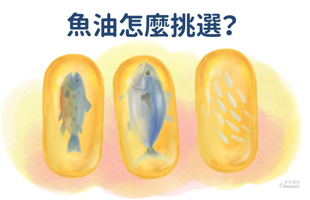 魚油封面圖