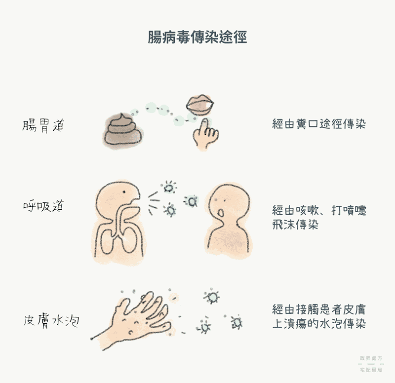 腸病毒傳染途徑