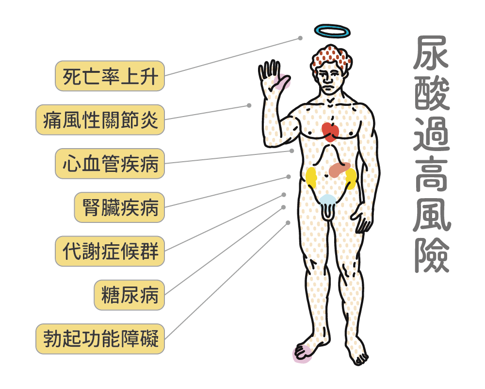 尿酸過高的七個風險