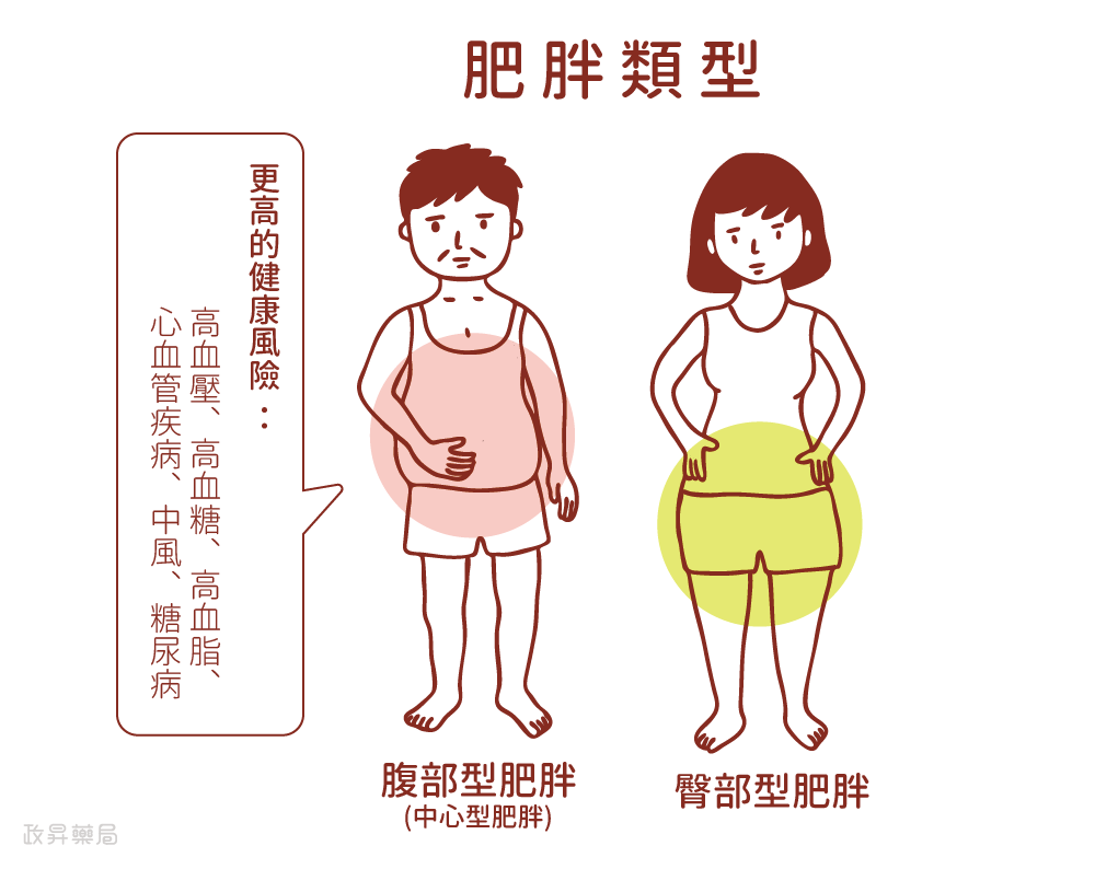 肥胖類型