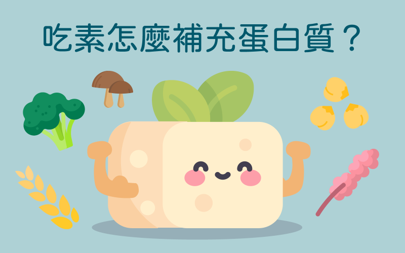 一塊豆腐表達吃素怎麼吃蛋白質