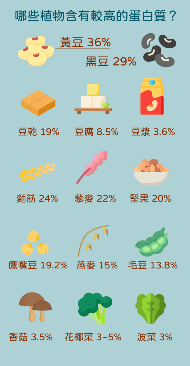 各種素食食物所含蛋白質比例