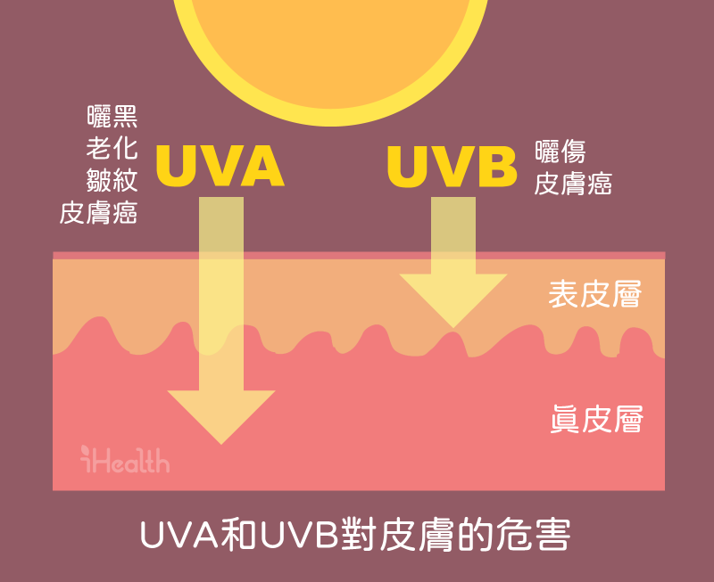 紫外線UVA和UVB穿透皮膚的深度剖面圖